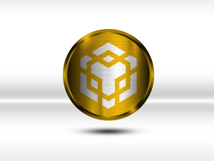Unveiling the Ascendancy of Binance Coin (BNB) in the Cryptocurrency Universe